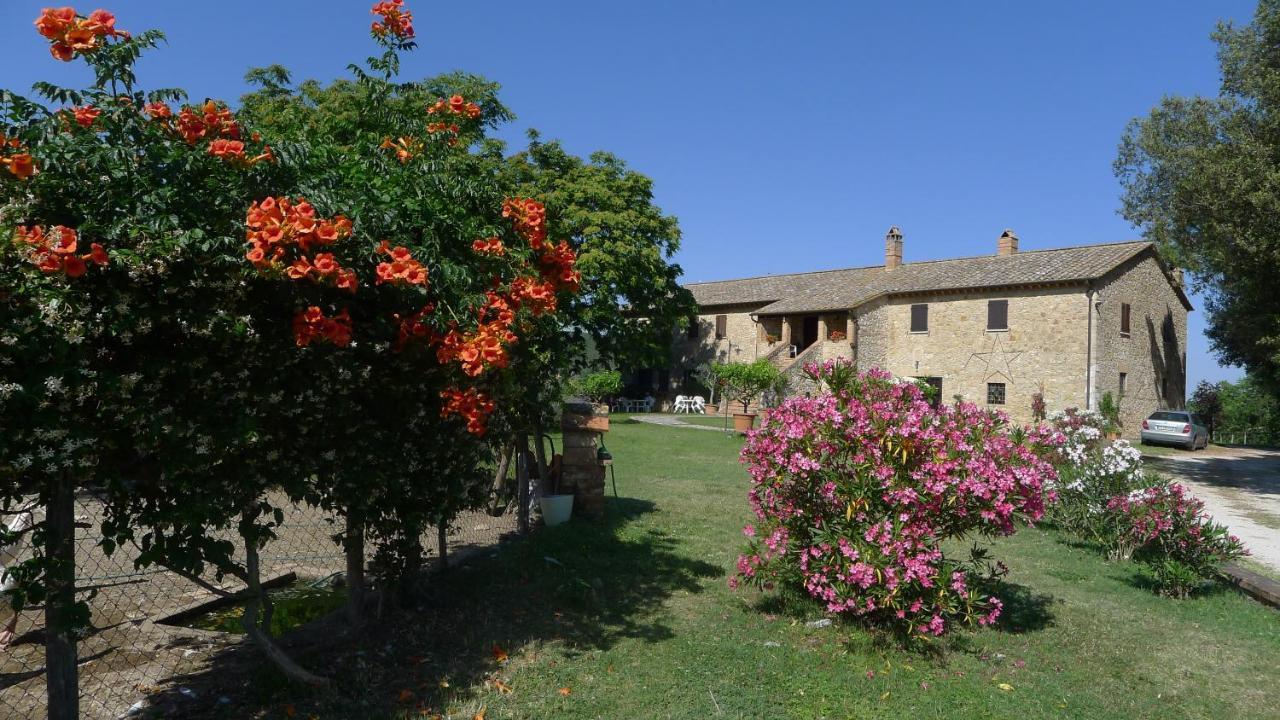 Agriturismo Podere Luchiano Amelia Exterior photo
