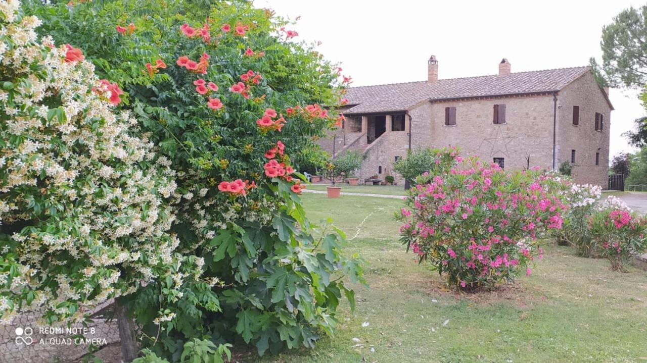 Agriturismo Podere Luchiano Amelia Exterior photo