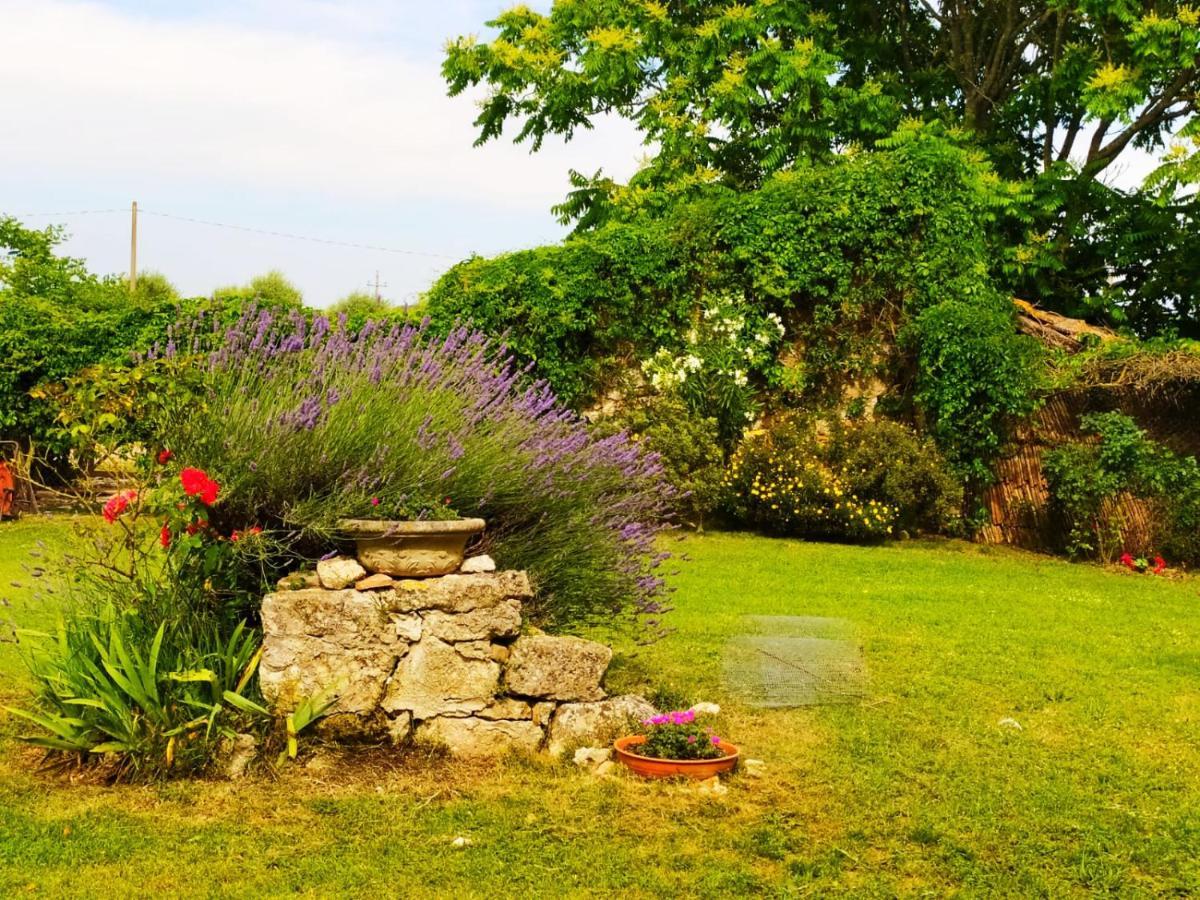 Agriturismo Podere Luchiano Amelia Exterior photo