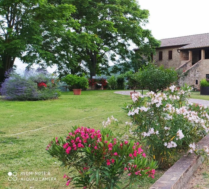 Agriturismo Podere Luchiano Amelia Exterior photo