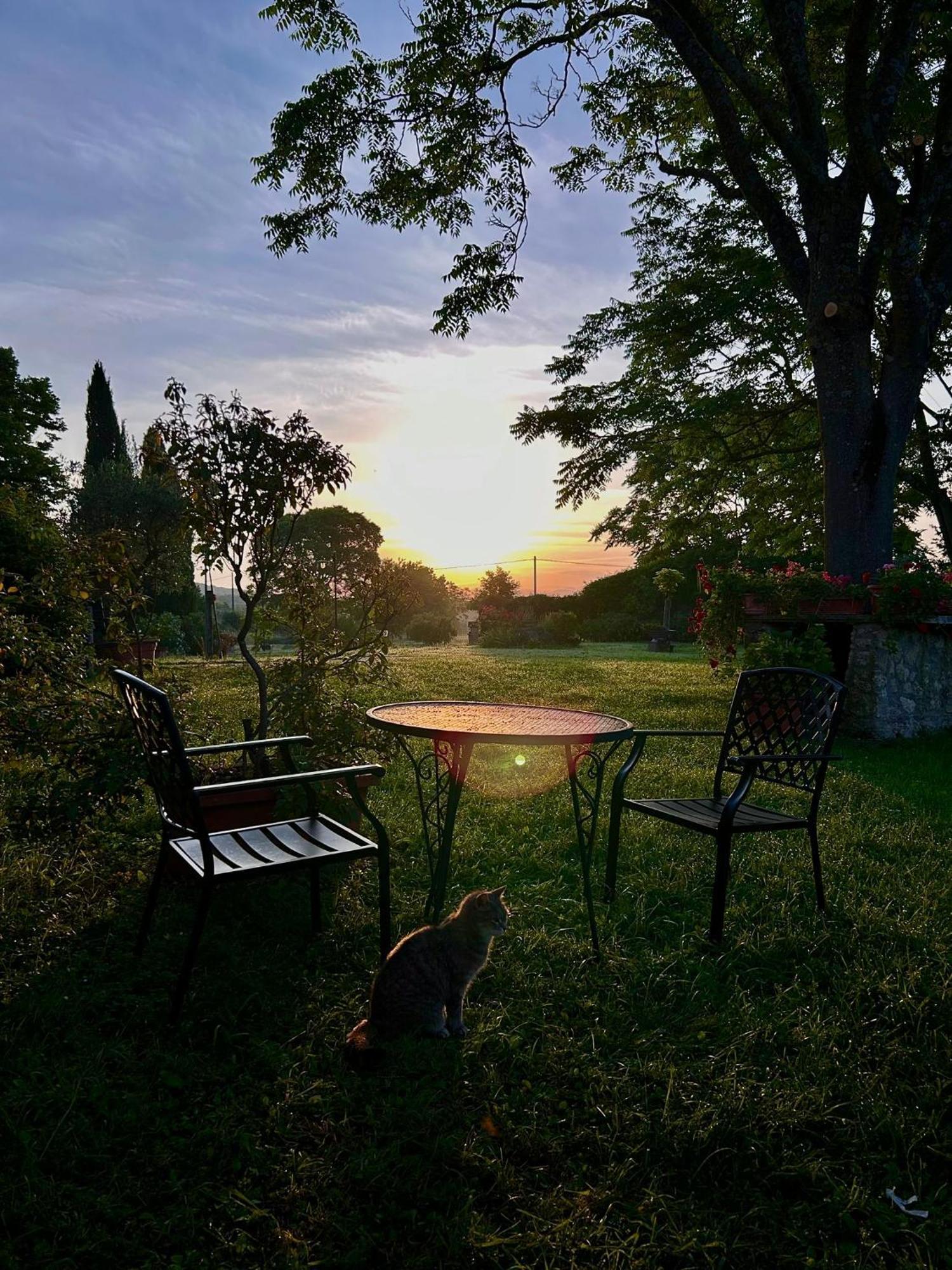 Agriturismo Podere Luchiano Amelia Exterior photo
