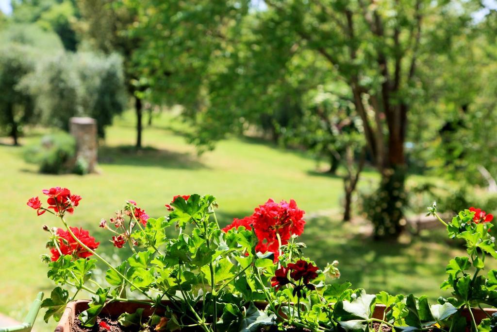 Agriturismo Podere Luchiano Amelia Exterior photo