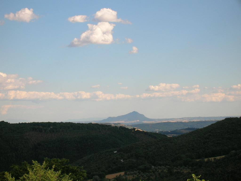 Agriturismo Podere Luchiano Amelia Exterior photo