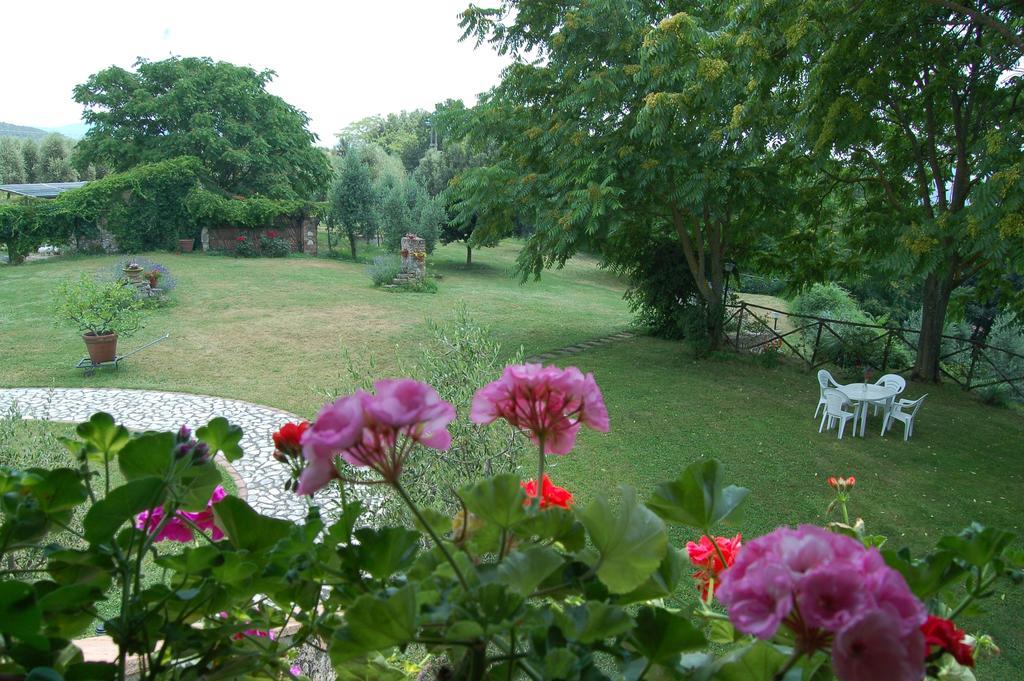 Agriturismo Podere Luchiano Amelia Exterior photo